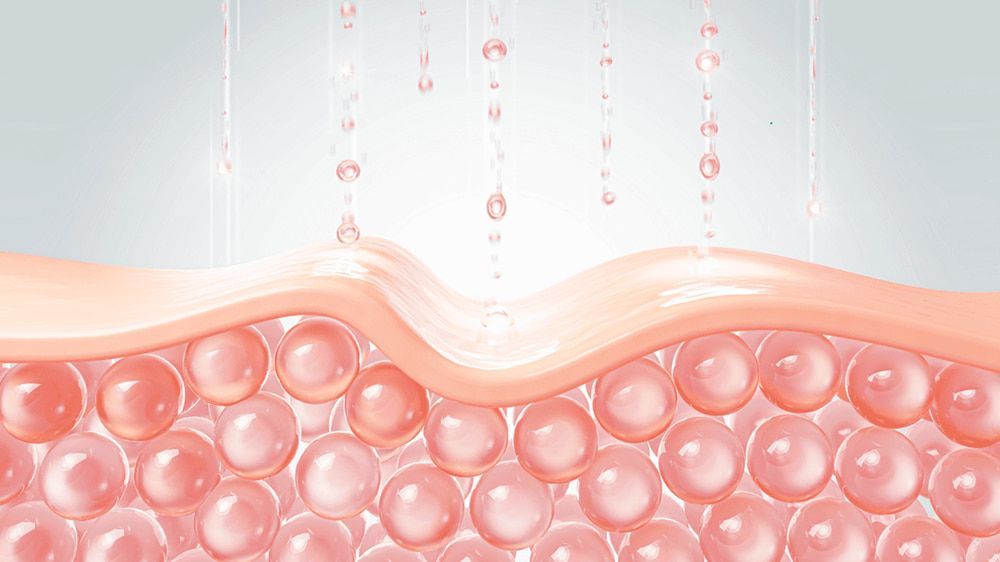 Hàng rào bảo vệ da là gì? Cách phục hồi & tăng cường hiệu quả